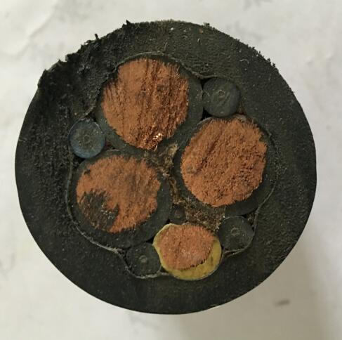 ����max(�й���)���޹�˾����