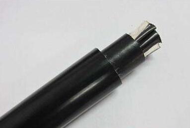 ����max(�й���)���޹�˾����