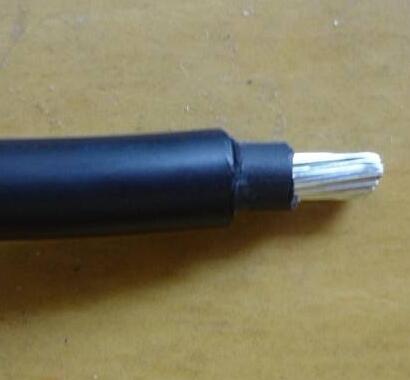 ����max(�й���)���޹�˾����