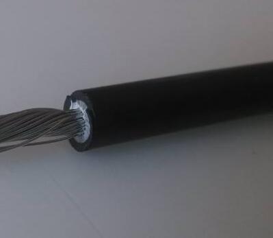 ����max(�й���)���޹�˾����