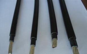 ����max(�й���)���޹�˾����