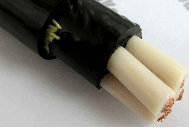 ����max(�й���)���޹�˾����