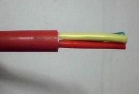 ����max(�й���)���޹�˾����