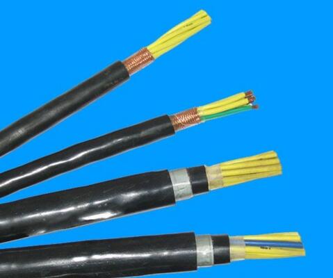 ����max(�й���)���޹�˾����