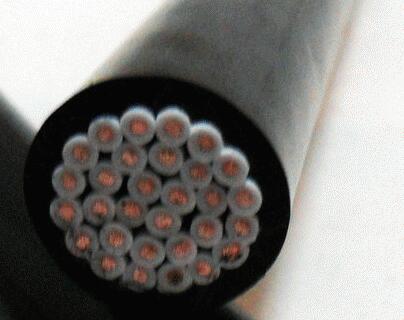 ����max(�й���)���޹�˾����