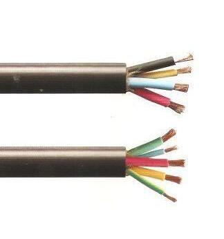 ����max(�й���)���޹�˾����