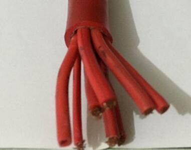 ����max(�й���)���޹�˾����