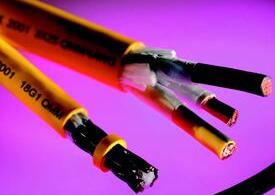 ����max(�й���)���޹�˾����