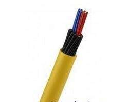 ����max(�й���)���޹�˾����