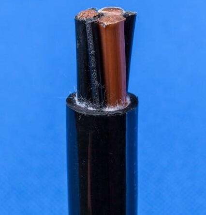 ����max(�й���)���޹�˾����