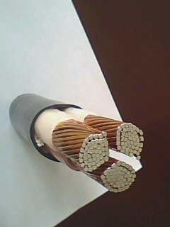 狗万·max(中国游)有限公司官网