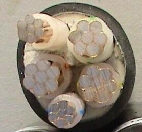 ����max(�й���)���޹�˾����