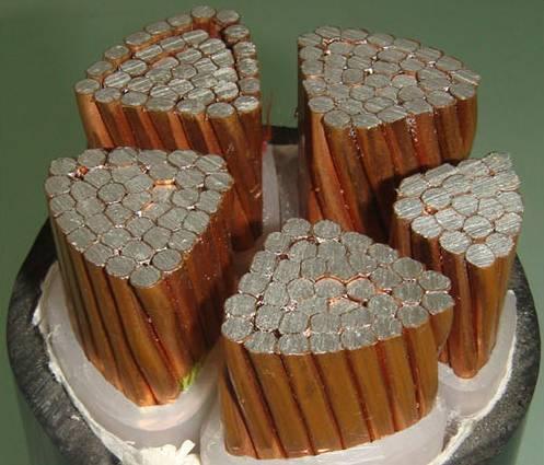 ����max(�й���)���޹�˾����