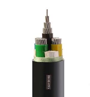 ����max(�й���)���޹�˾����