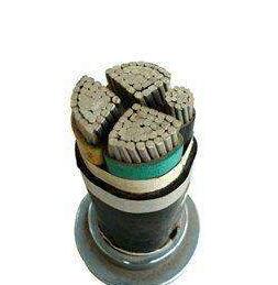 ����max(�й���)���޹�˾����