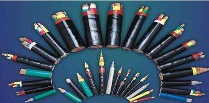 ����max(�й���)���޹�˾����