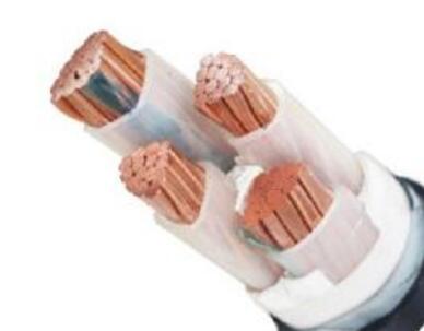 ����max(�й���)���޹�˾����