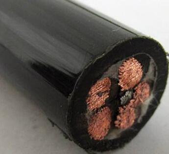 ����max(�й���)���޹�˾����