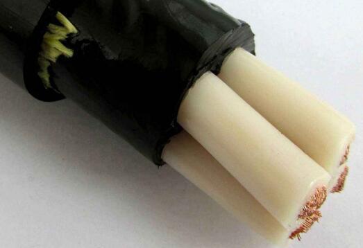 ����max(�й���)���޹�˾����