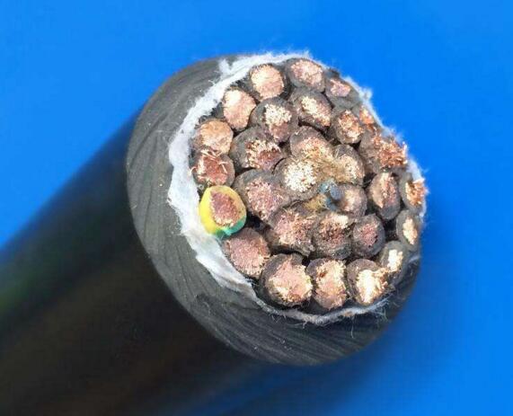 ����max(�й���)���޹�˾����