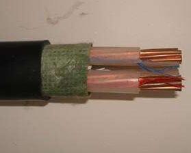 ����max(�й���)���޹�˾����