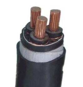 ����max(�й���)���޹�˾����