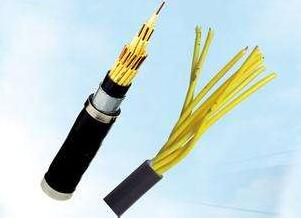 ����max(�й���)���޹�˾����