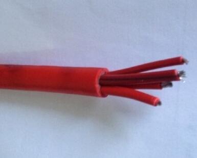 ����max(�й���)���޹�˾����