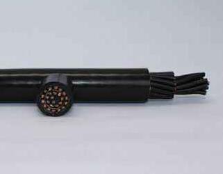 ����max(�й���)���޹�˾����