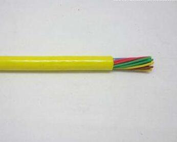 ����max(�й���)���޹�˾����