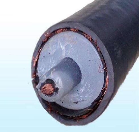 ����max(�й���)���޹�˾����