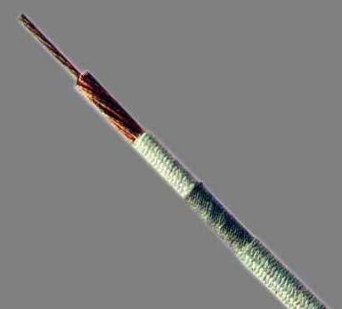 狗万·max(中国游)有限公司官网