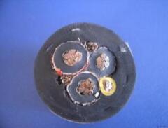 狗万·max(中国游)有限公司官网