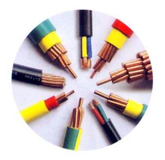 ����max(�й���)���޹�˾����