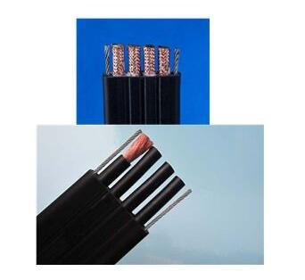 ����max(�й���)���޹�˾����