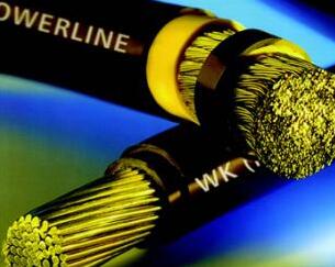 ����max(�й���)���޹�˾����