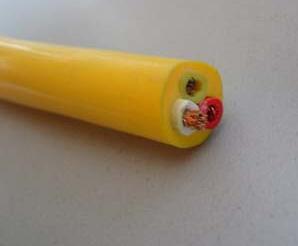 ����max(�й���)���޹�˾����