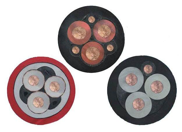 ����max(�й���)���޹�˾����