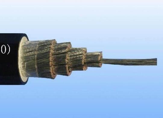 ����max(�й���)���޹�˾����