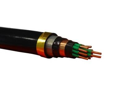 ����max(�й���)���޹�˾����