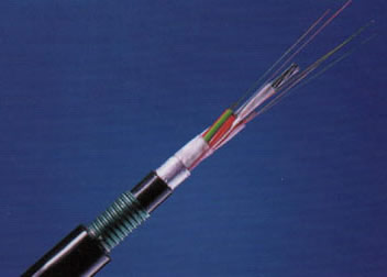 狗万·max(中国游)有限公司官网