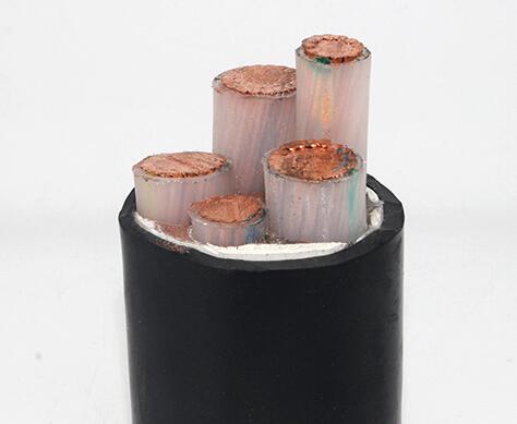 ����max(�й���)���޹�˾����