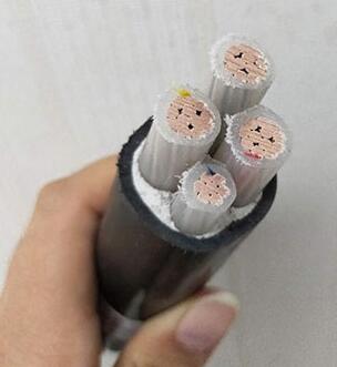 ����max(�й���)���޹�˾����