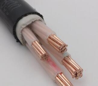 ����max(�й���)���޹�˾����