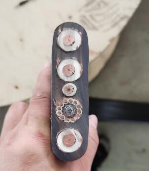 ����max(�й���)���޹�˾����