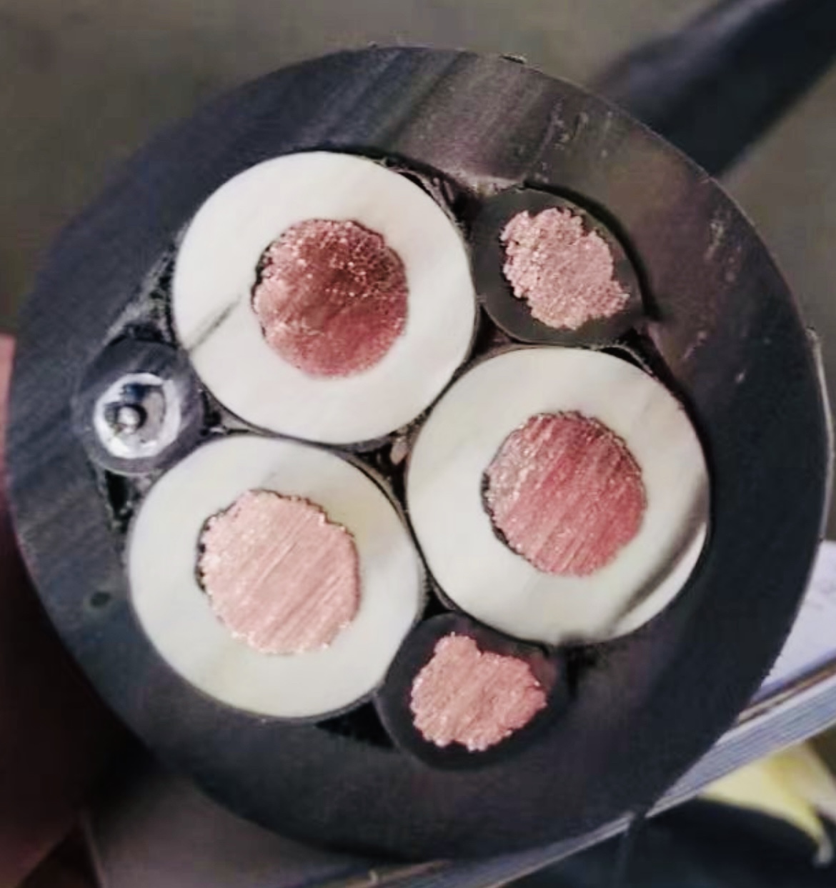 狗万·max(中国游)有限公司官网