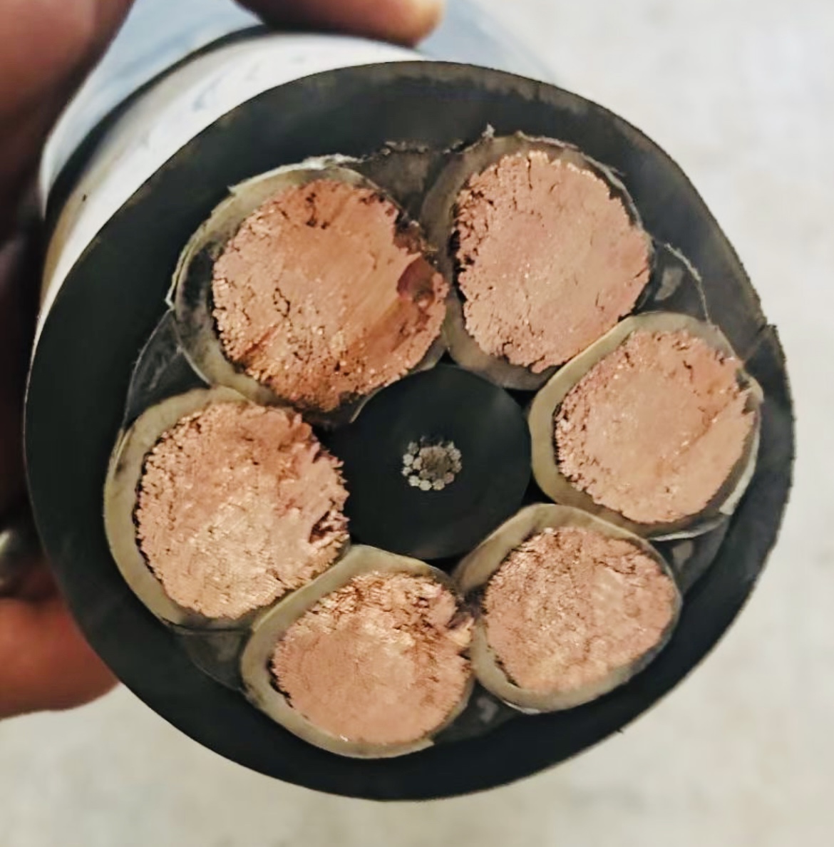 ����max(�й���)���޹�˾����