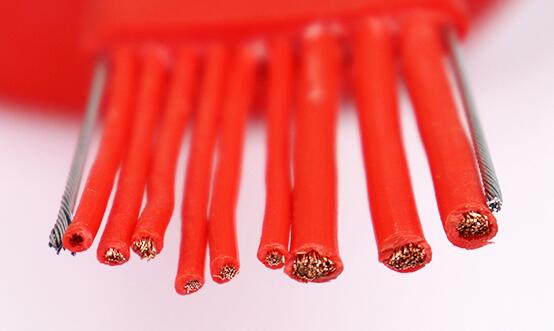 ����max(�й���)���޹�˾����