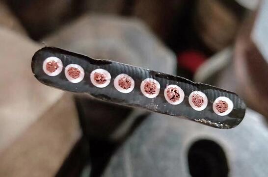 ����max(�й���)���޹�˾����