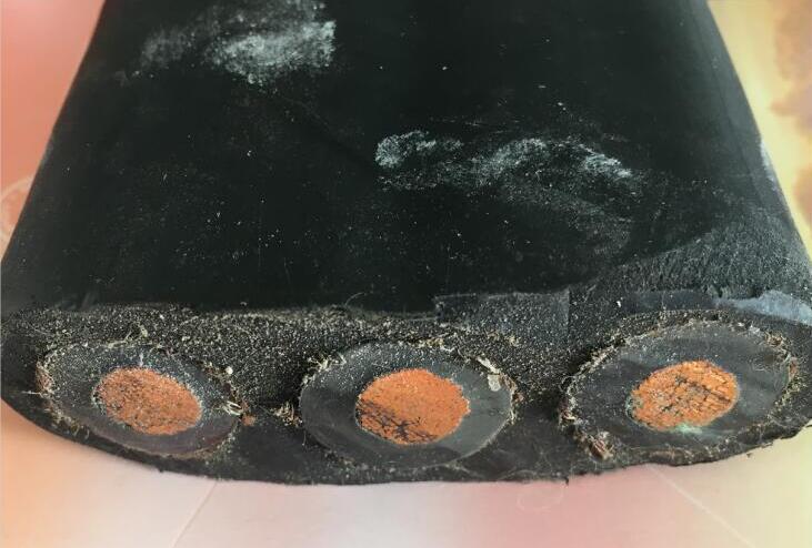 ����max(�й���)���޹�˾����